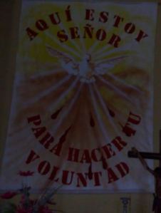 16º domingo del tiempo ordinario