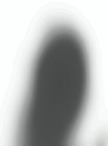 27º domingo del tiempo ordinario