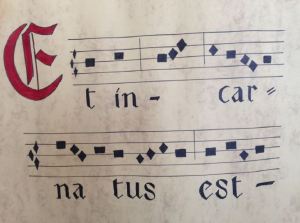 Segundo Domingo de Navidad 2014