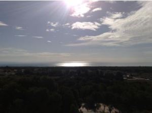 Cuarto domingo de cuaresma