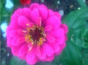 Octavo domingo del tiempo ordinario