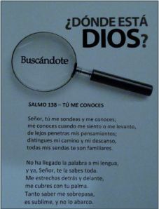 17º séptimo domingo del tiempo ordinario