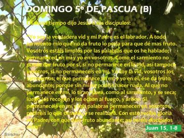 Quinto Domingo de Pascua