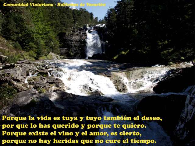 Vocacion-Viatoriana_32