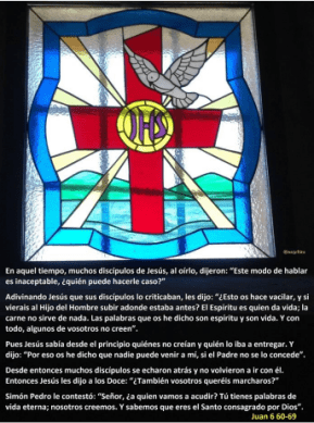 Vigesimoprimer domingo del tiempo ordinario