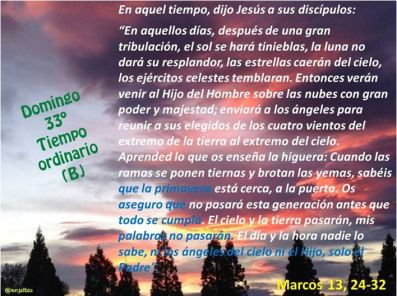 Trigesimotercer domingo del Tiempo Ordinario