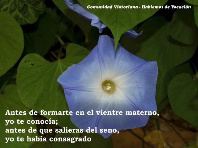 Vocacion-Viatoriana_23