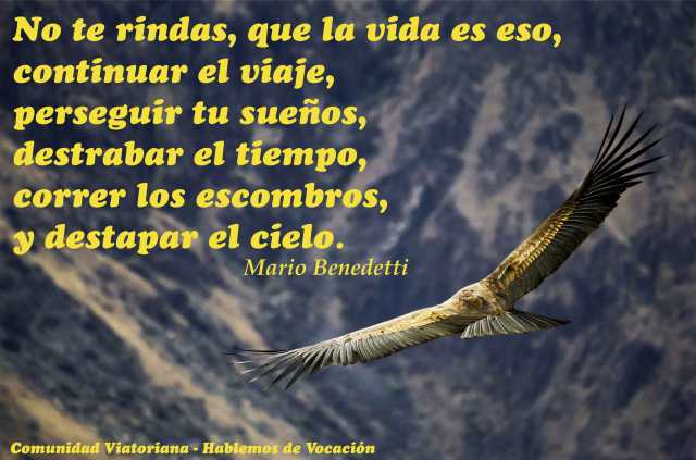 Vocacion-Viatoriana_28