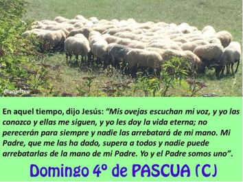 Cuarto Domingo de Pascua