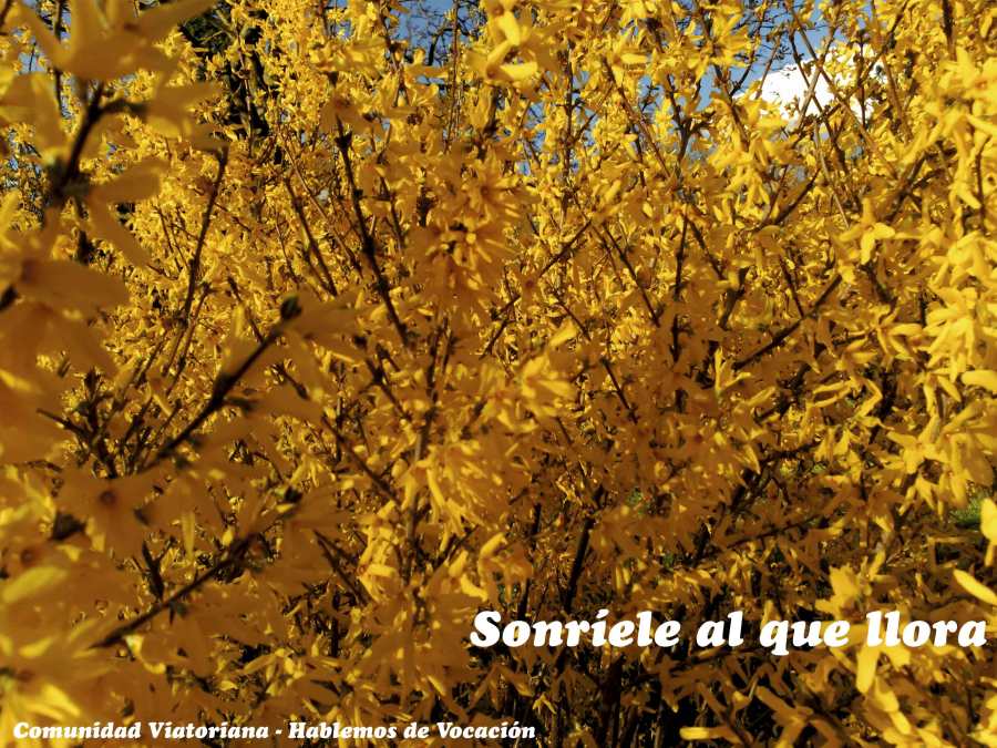 Vocaciones religiosas, vocación viatoriana