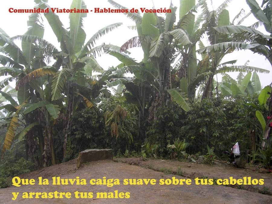 Vocaciones religiosas, vocaciones viatorianas