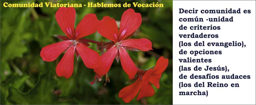 Vocaciones, vocación religiosa, vocación viatoriana, vocaciones religiosas