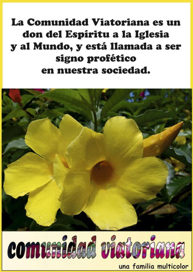 Comunidad Viatoriana, una familia multicolor