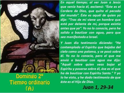 segunda-semana-del-tiempo-ordinario