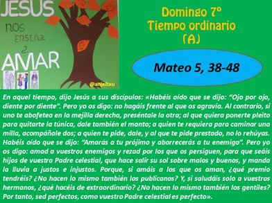 septima-semana-del-tiempo-ordinario