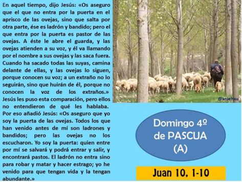 Cuarto Domingo de Pascua