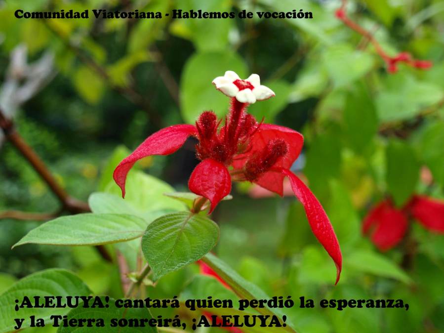 Hablemos de vocación