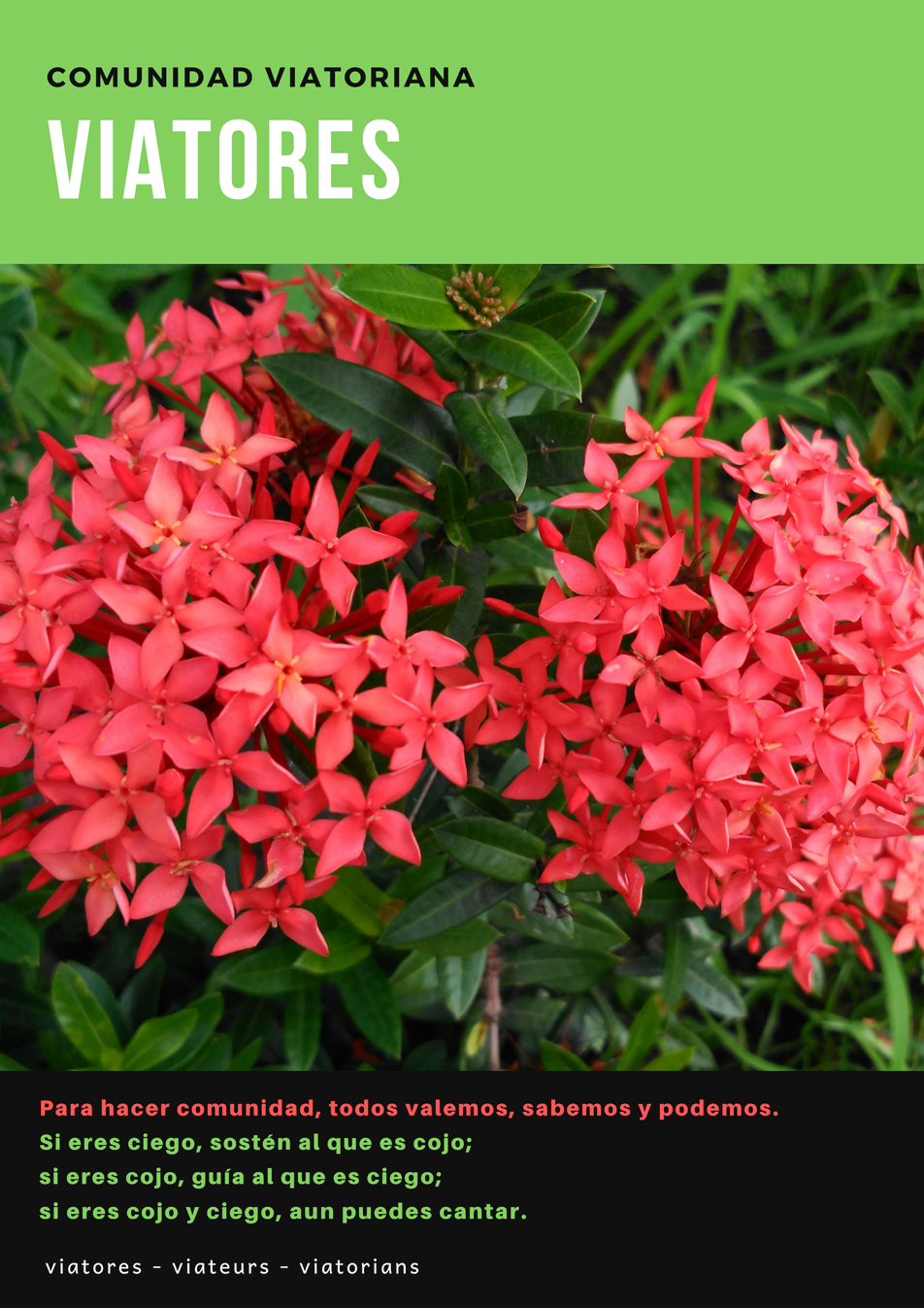 viatores-03